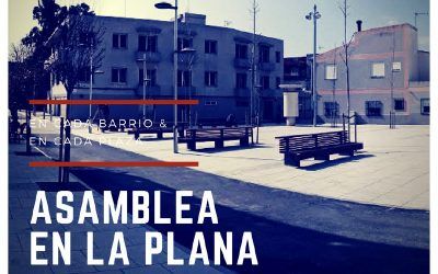 Assemblea Acció Local