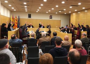 [VIDEO]Ple municipal 01/12/2017