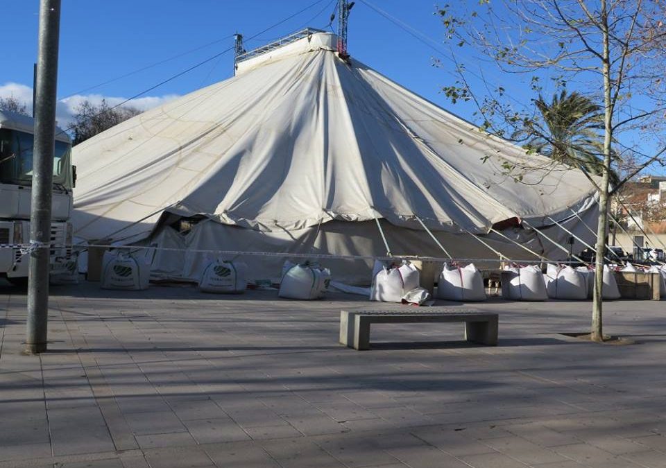 Demanem realitzar un Pla d’Actuació Municipal per Risc de Vent