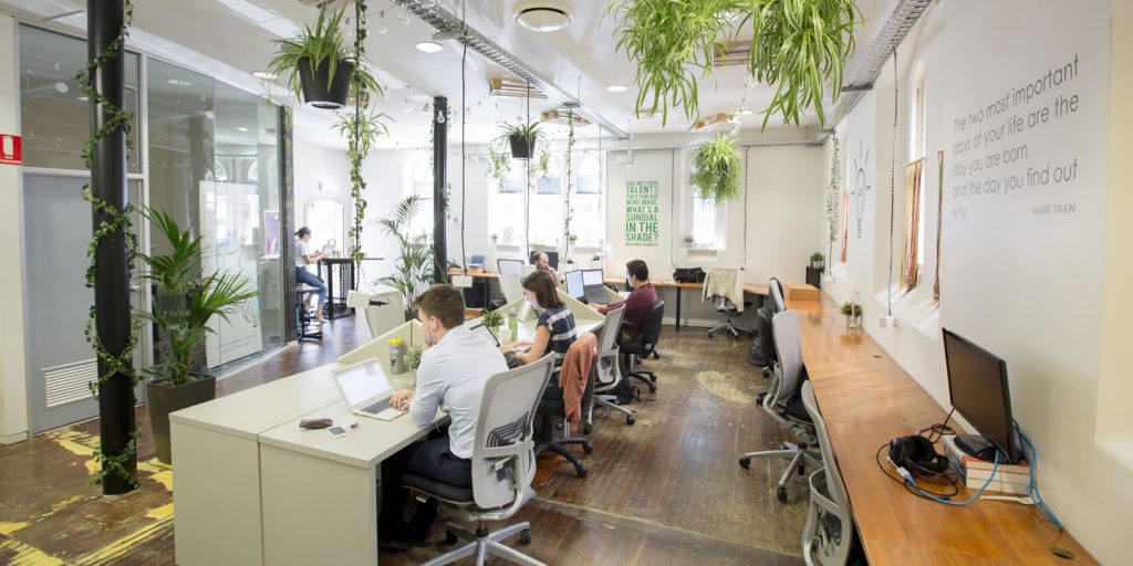 Proposem impulsar un viver d’empreses en format ‘coworking’