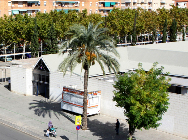Presentem un pla per revitalitzar el mercat