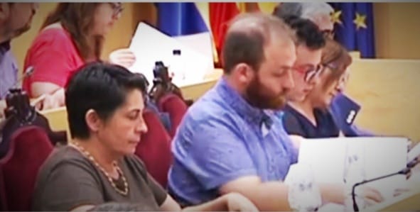 Plenari Municipal 02/08/2019