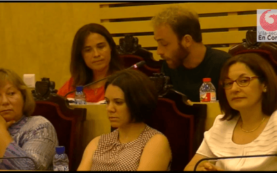 Ple del dia 31/07/2015