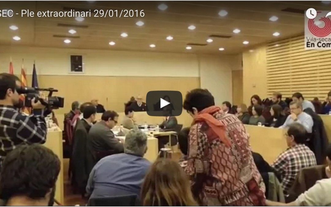 Ple municipal 29/01/2016
