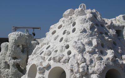 Plantegem crear un parc de boies marines ecològiques visitable