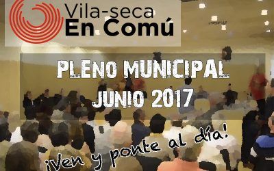 [VIDEO] Ple Municipal Juny 2017