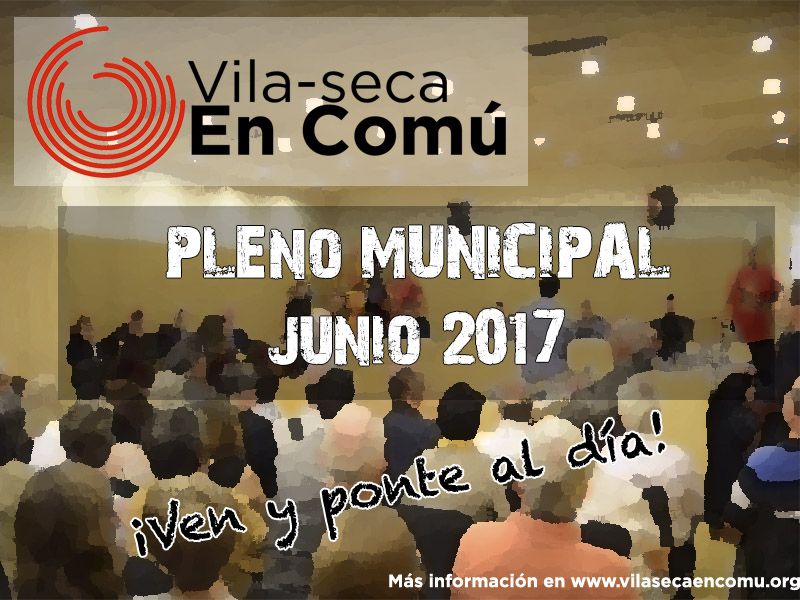 [VIDEO] Ple Municipal Juny 2017