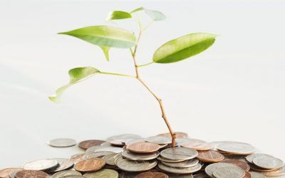 Vila-seca decidirà si treballa amb banques ètiques