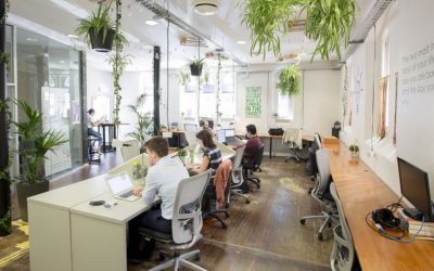 Proposem impulsar un viver d’empreses en format ‘coworking’