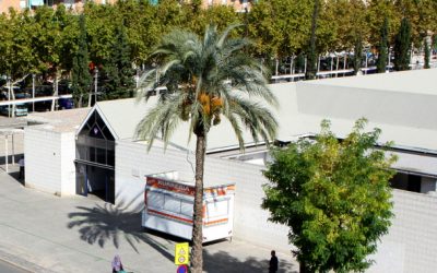 Presentem un pla per revitalitzar el mercat