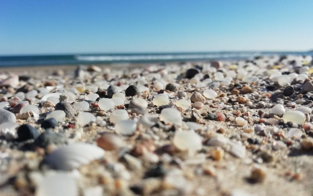 Milions de boles de plàstic plaguen la Platja de la Pineda