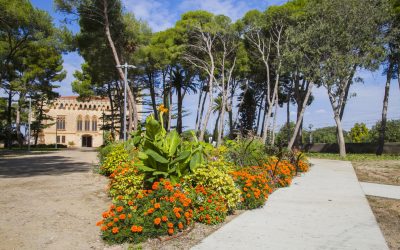 En Comú quiere el espacio del Celler y el Castillo operativo los 365 días del año