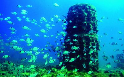 Propuesta para introducir boyas ecológicas en la playa Pineda