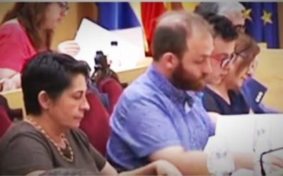 Plenari Municipal 02/08/2019