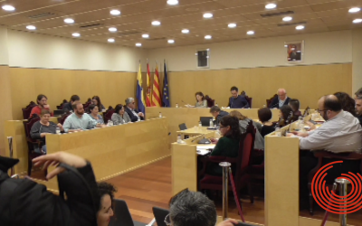 Ple Municipal 20 de desembre